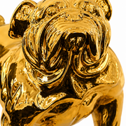Gold / Silver Giant Dog