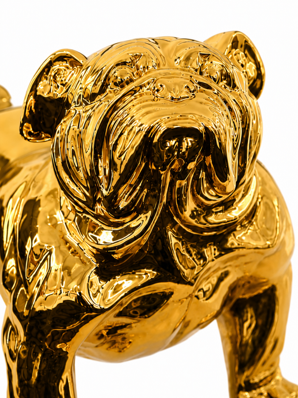 Gold / Silver Giant Dog