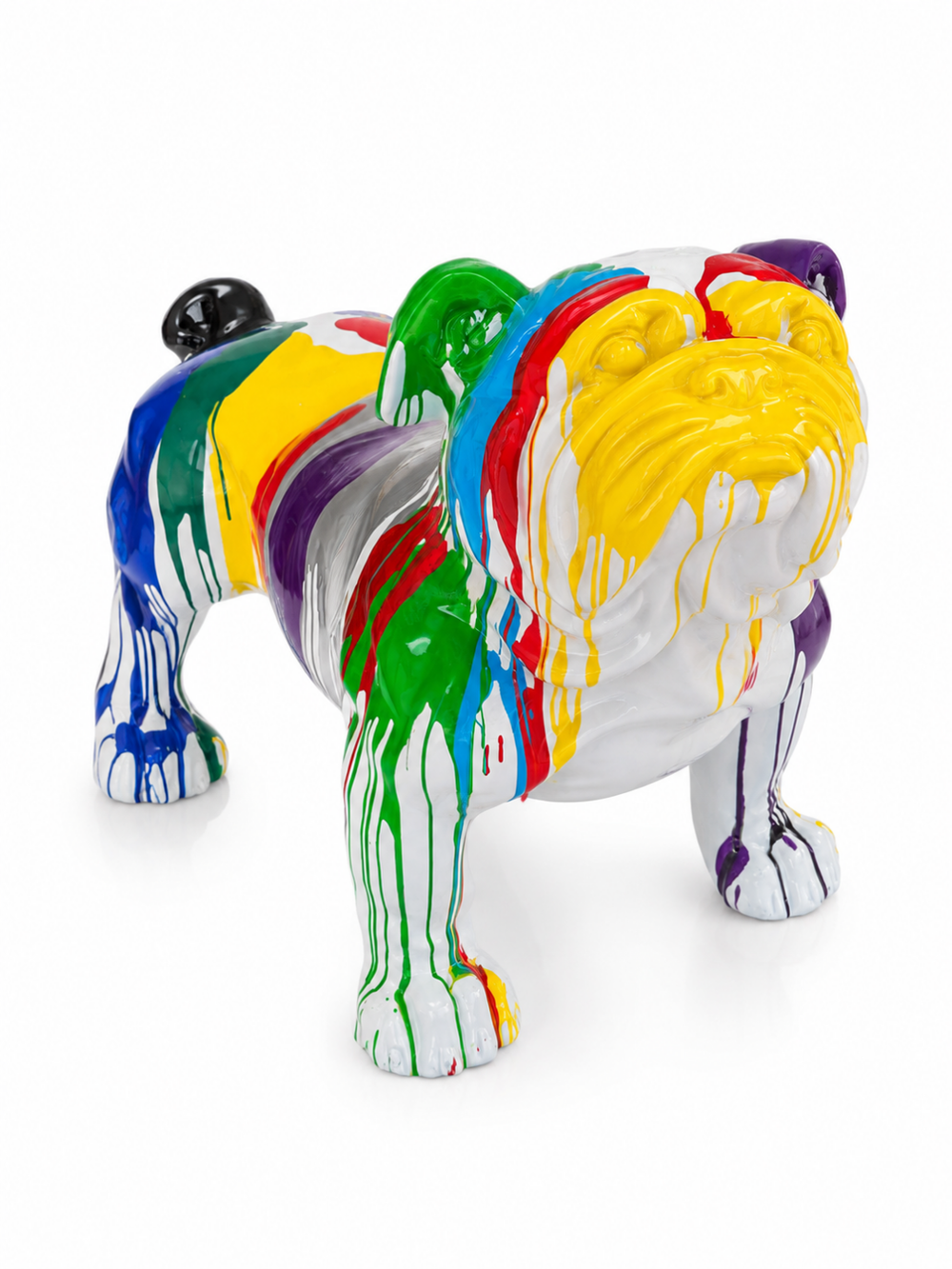 Multicolor Giant Dog