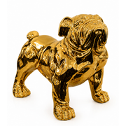 Gold / Silver Giant Dog